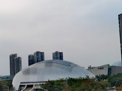 -嘉庚体育馆