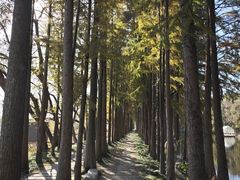 -塔川景区