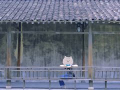 -乌镇东栅景区
