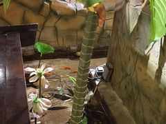 -城墙拐拐火锅(三峡广场黑金冠店)