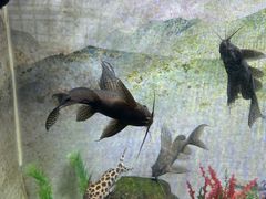 -常州海昌海洋探索馆