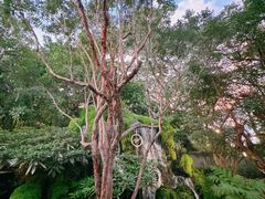 -Chom Cafe and Restaurant