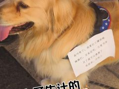 -龙湖重庆时代天街