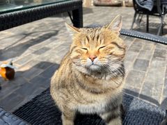 -炊烟餐厅