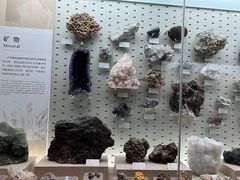 -浙江自然博物院(杭州馆)