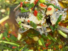 -汝萍传统蘸水菜(春华路总店)