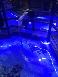 -未来动物城主题公园(正弘城店)
