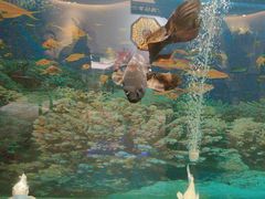 -食悦江南·淮扬菜·烤鸭(亚运村·惠新店)