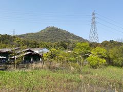 -西湖风景区-江洋畈生态公园