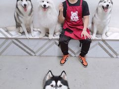 -星多哈·狗咖·拼豆·咖啡