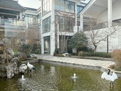 -广富林宰相府酒店·水云间