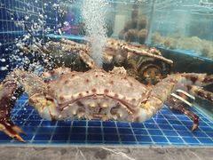 -大连湾旭日·家宴·海肠捞饭(马栏广场店)