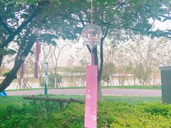 -灞河西岸滨河公园