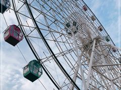 -洋湖国家湿地公园