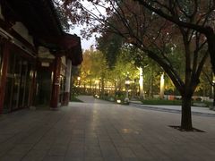-曲江春晓苑