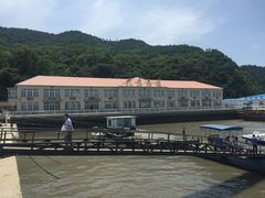 -大鹿岛