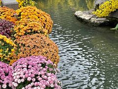 -杭州植物园