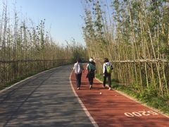 -上海长兴岛郊野公园