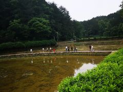 -韶山毛泽东同志故居