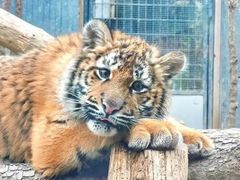 -老娘舅(吴淞路店)