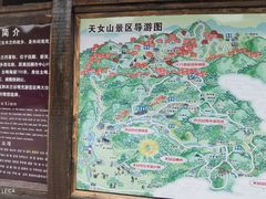 -天女山森林公园