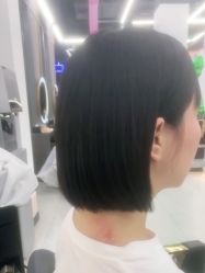 -世田造型