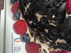 -维尔纳斯·生日蛋糕·动物奶油冰淇淋蛋糕(六里桥店)