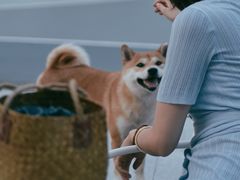 -长富金茂大厦