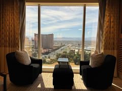 -拉斯维加斯永利酒店