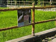 -哈尔滨北方森林动物园