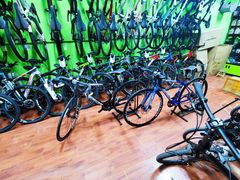 -美利达自行车(天通西苑一区店)