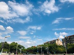 -新江湾城公园