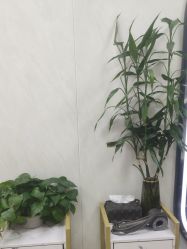 -TRIMS HAIR 修剪造型·烫染接发