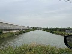 -马陆小张葡萄园农家乐