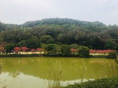 -南国桃园旅游度假区