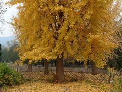 -国家植物园南园