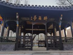 -东北农业大学
