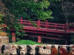 -紫霞湖公园