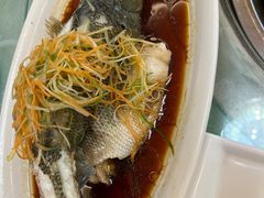 -山菌美食苑(振兴路店)