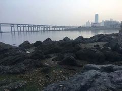 -星海湾跨海大桥