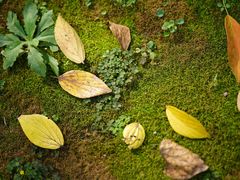 -苏州河梦清园环保主题公园