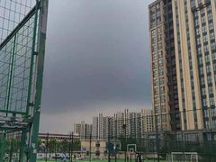 -小赛虎少儿足球培训(南翔校区)