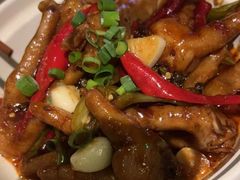 -胡桃里乐队酒馆