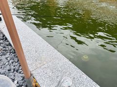 -DGE季风钓虾营地·团建·聚会