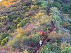 -大岭沟猕猴桃谷风景区