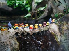 -太平洋海底世界