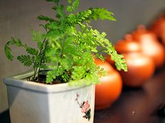 -王德传茶庄(上海新天地店)