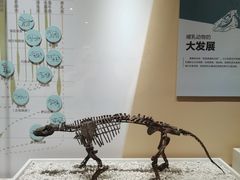 -国家自然博物馆
