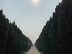 -秦始皇帝陵博物院-丽山园