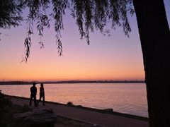 -丁香湖公园